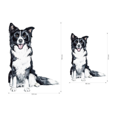 Nažehlovačka - Border Kolie, velikost M