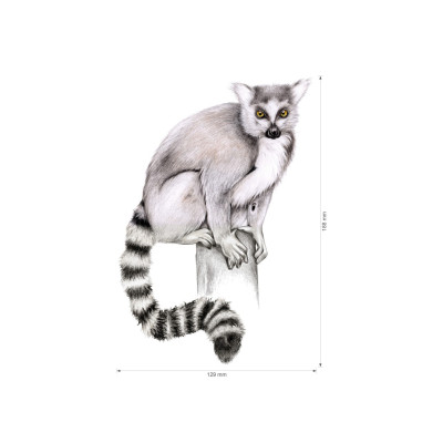 Nažehlovačka - Lemur, velikost M