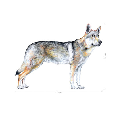 Nažehlovačka - československý vlčák, velkost M