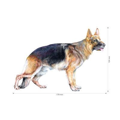 Nažehlovačka - Německý ovčák, velikost M